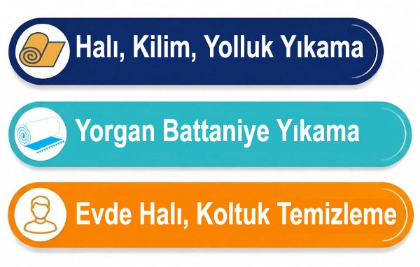 arya-hali-yikama